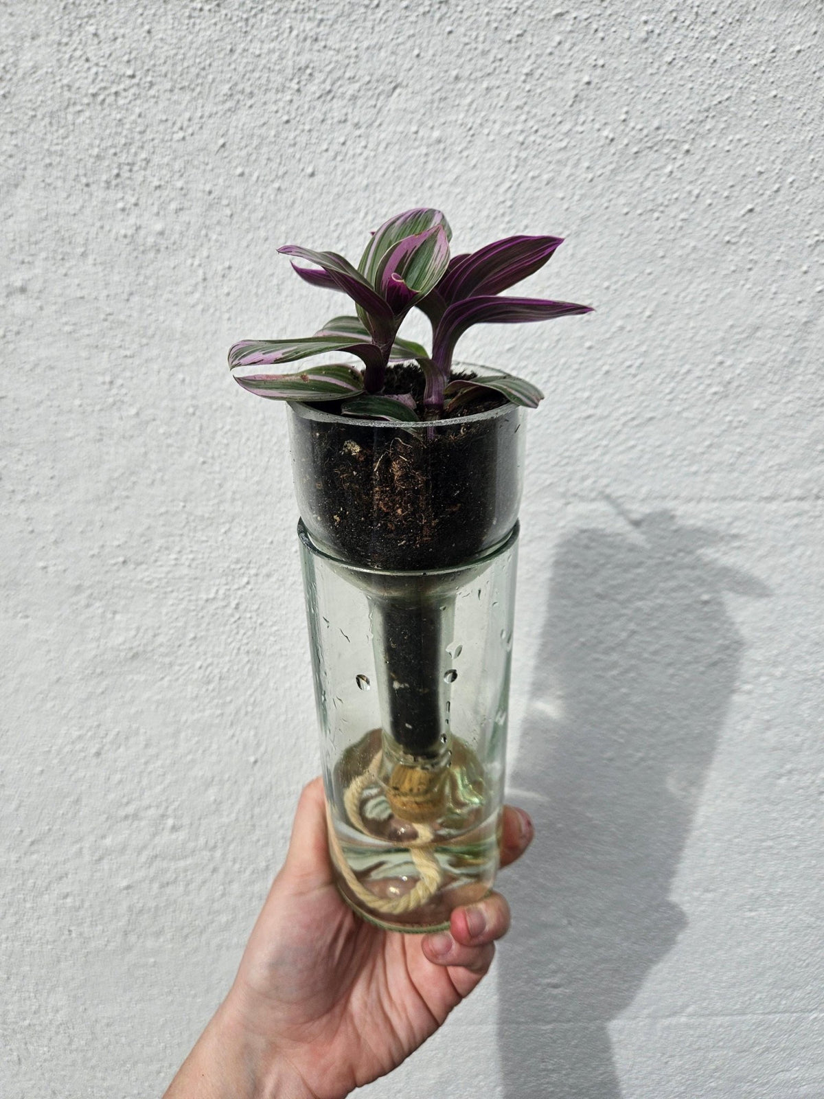 Self-Watering Bottle Planter - SGP Garden Ltd