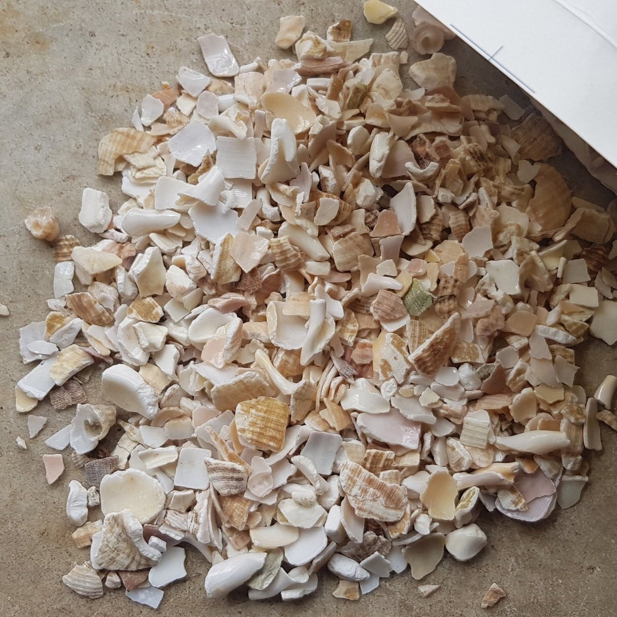 Shell On Earth - SGP Garden Ltd