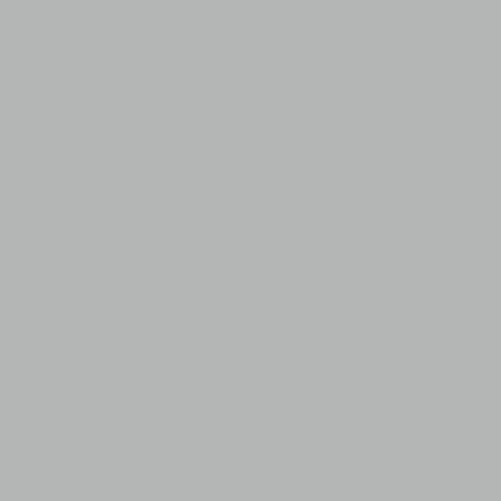 Silver Grey - Royal Exterior Paint - SGP Garden Ltd