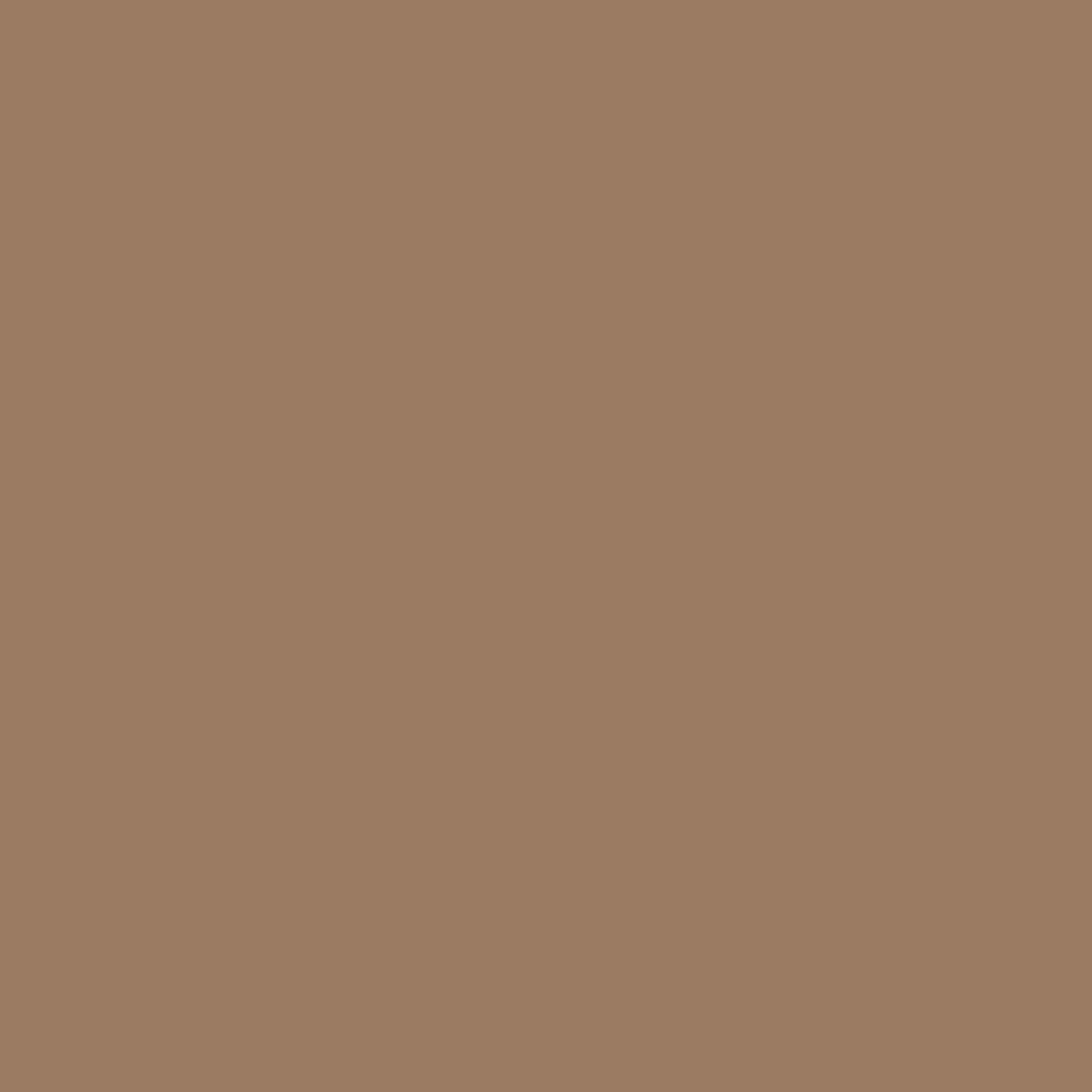 Soft Mocha - Royal Exterior Paint - SGP Garden Ltd