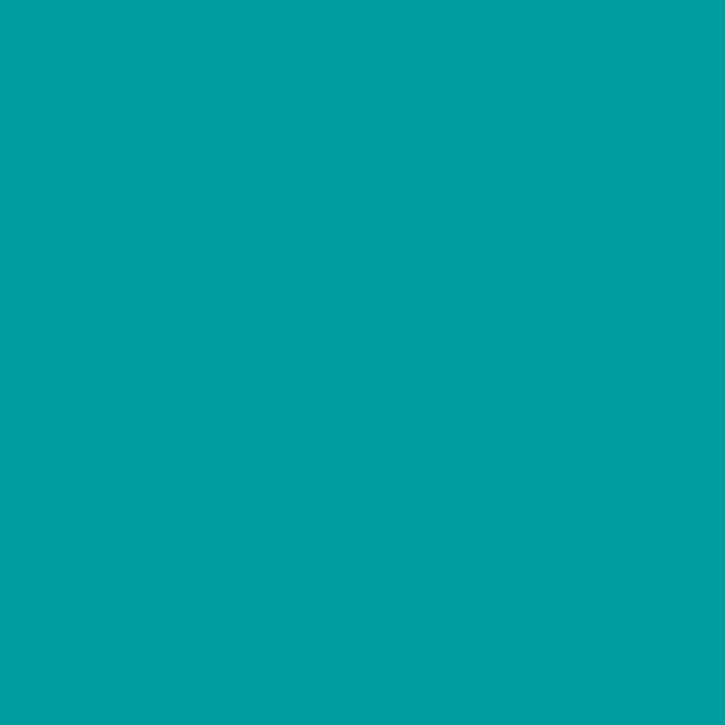 Teal - Royal Exterior Paint - SGP Garden Ltd