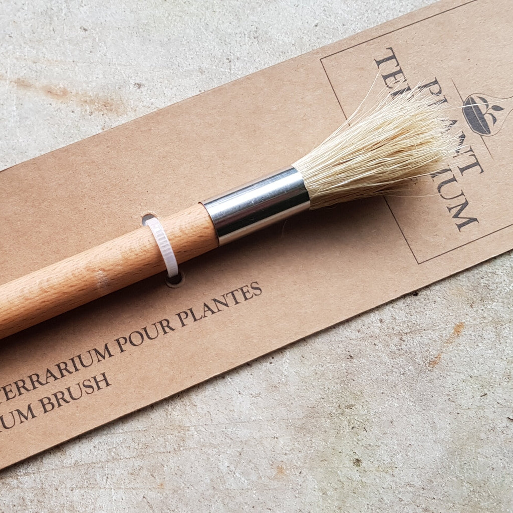 Terrarium Brush - SGP Garden Ltd