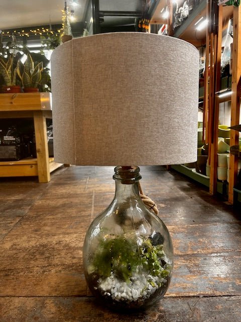 Terrarium Lamp - SGP Garden Ltd