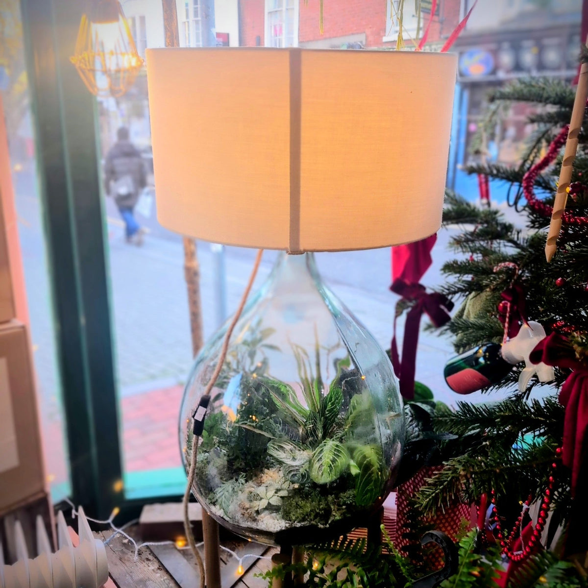 Terrarium Lamp - SGP Garden Ltd