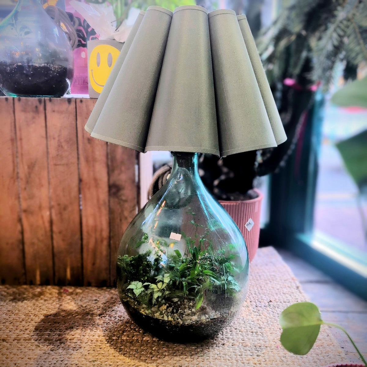 Terrarium Lamp - SGP Garden Ltd