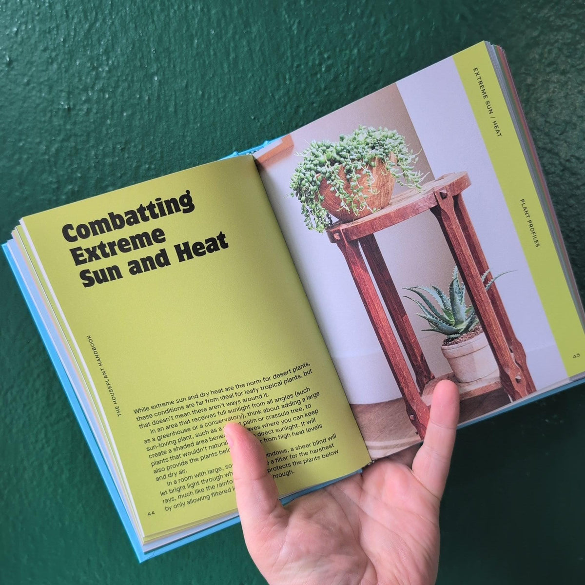 The Houseplant Handbook by Maddie and Alice Bailey - SGP Garden Ltd
