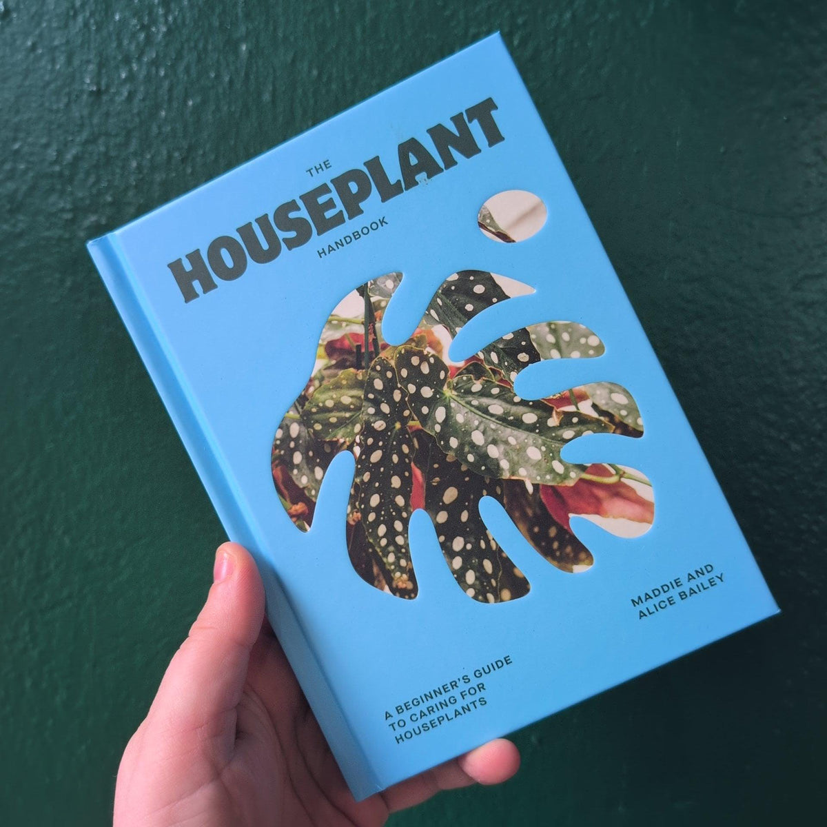 The Houseplant Handbook by Maddie and Alice Bailey - SGP Garden Ltd