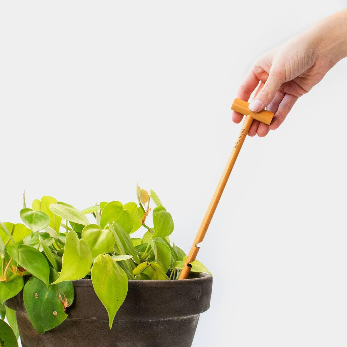 The Soil Checker - wooden soil probe to check soil moisture - SGP Garden Ltd
