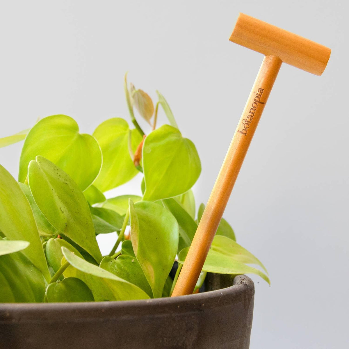 The Soil Checker - wooden soil probe to check soil moisture - SGP Garden Ltd