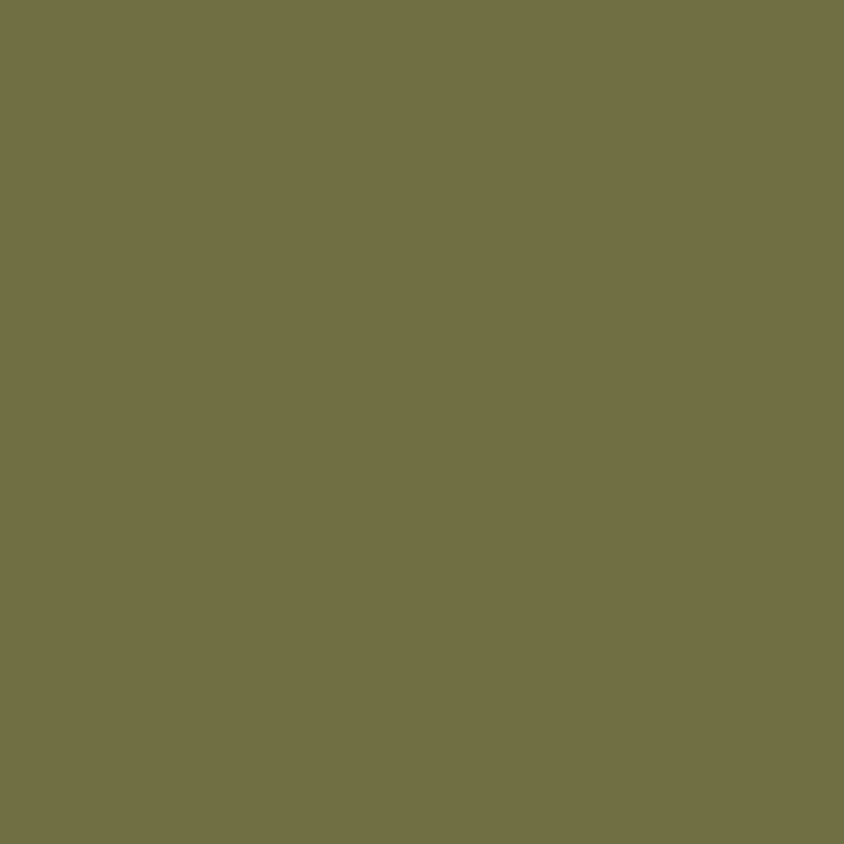 Verdant - Royal Exterior Paint - SGP Garden Ltd
