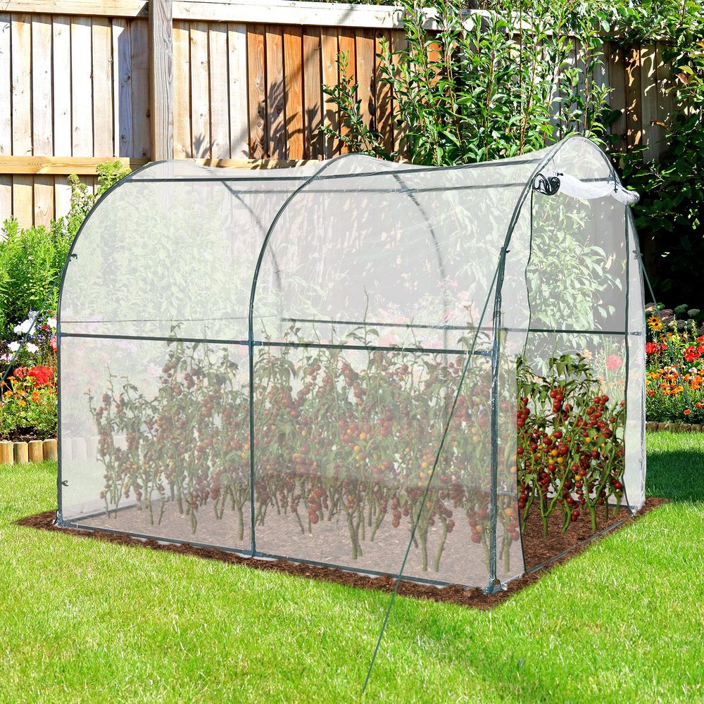 Walk-in Transparent Greenhouse, Steel Frame - Extend Growing Season, Durable PVC, Stable Structure - SGP Garden Ltd