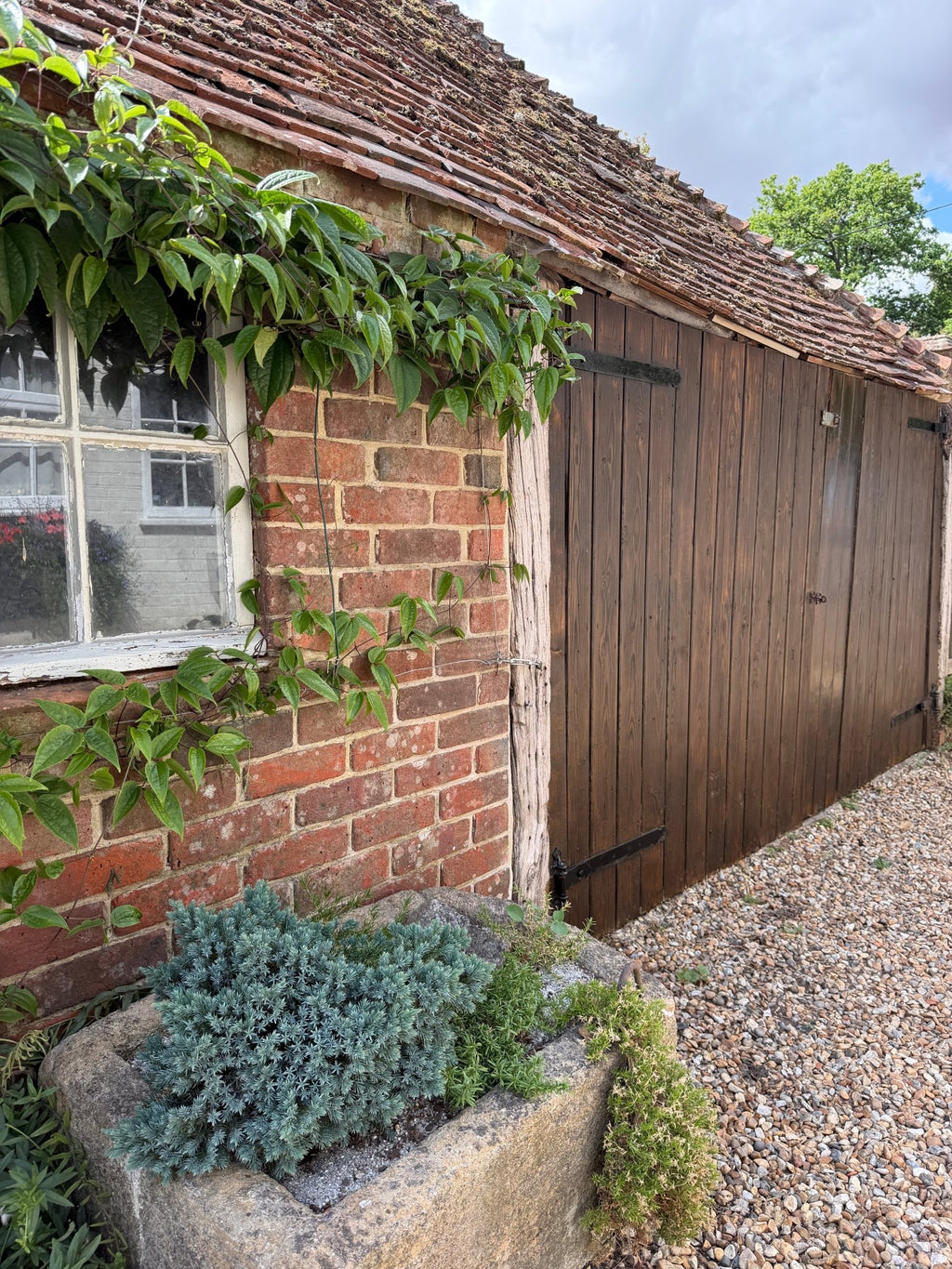 Walnut - Royal Exterior Paint - SGP Garden Ltd