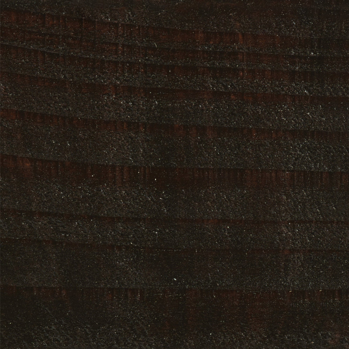 Warm Oak - Royal Exterior Paint - SGP Garden Ltd