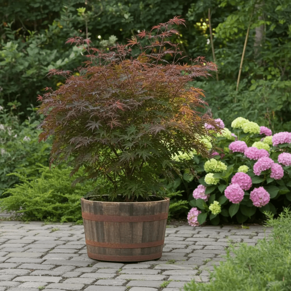 Whisky Barrel Flower Pot Planter With Drainage Hole Whiskey Half Barrels Garden Patio - SGP Garden Ltd