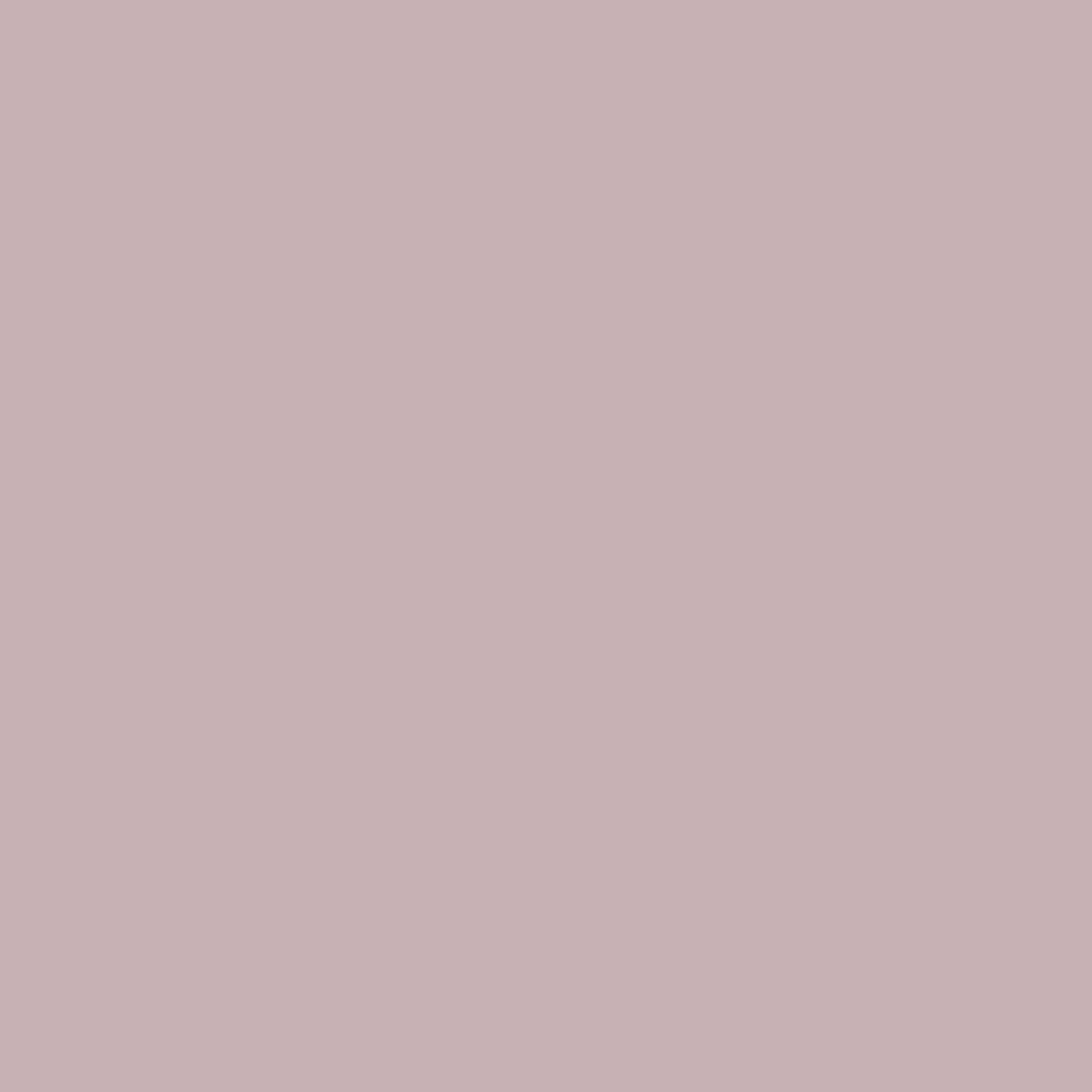 Winter Sky - Royal Exterior Paint - SGP Garden Ltd