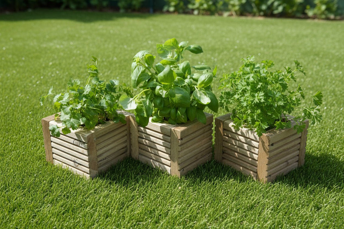 Wooden Decking herb planter boxes pack of 3 - SGP Garden Ltd