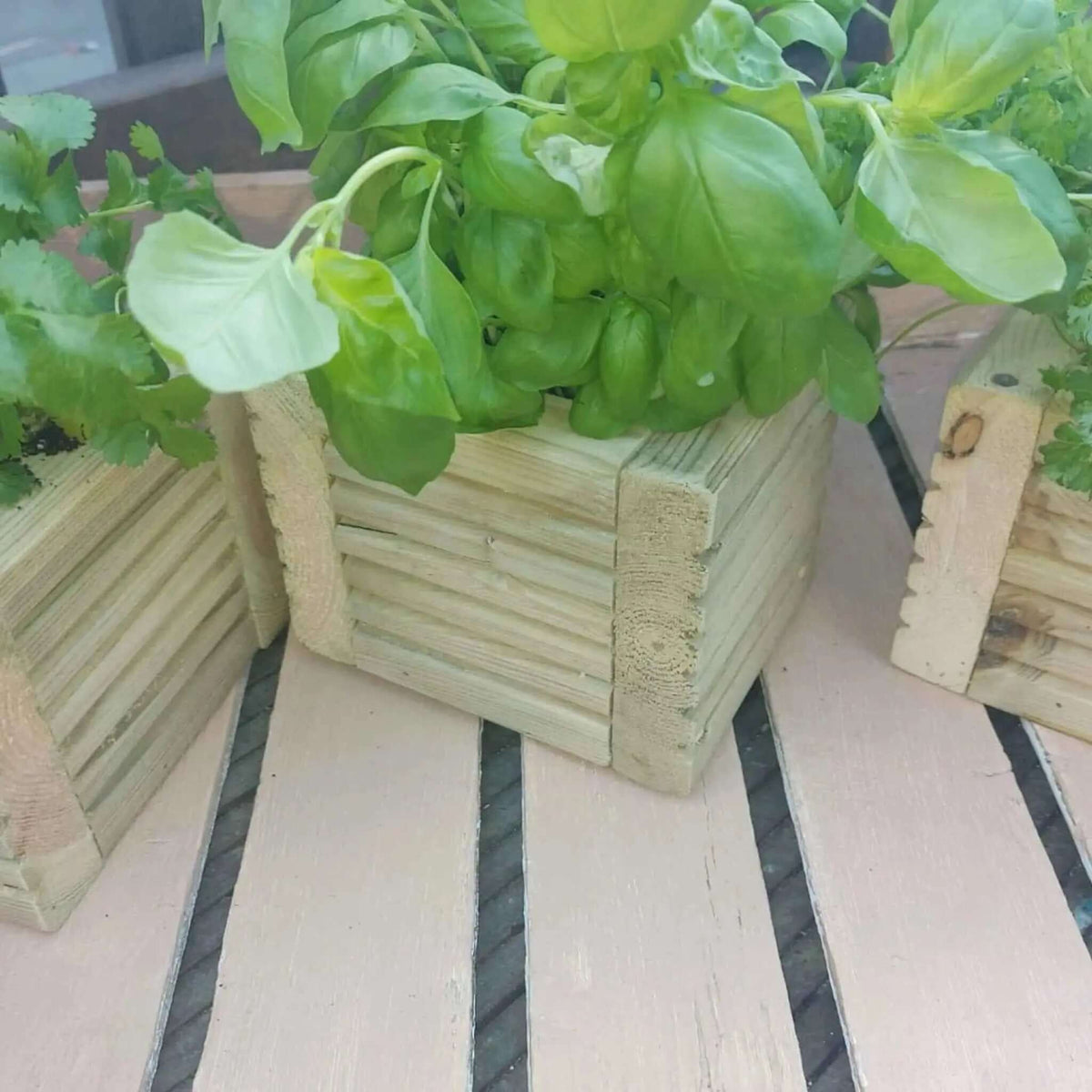 Wooden Decking herb planter boxes pack of 3 - SGP Garden Ltd