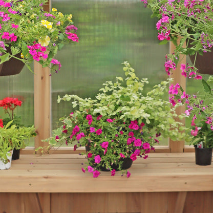 Yardistry Wooden Greenhouse 6.7ft x 6ft (2.3m x 2m) - SGP Garden Ltd